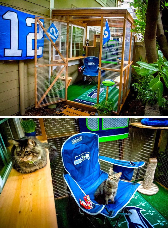 Фотография: Что такое и как выглядит котио, игровая площадка для кошек на свежем воздухе №35 - BigPicture.ru