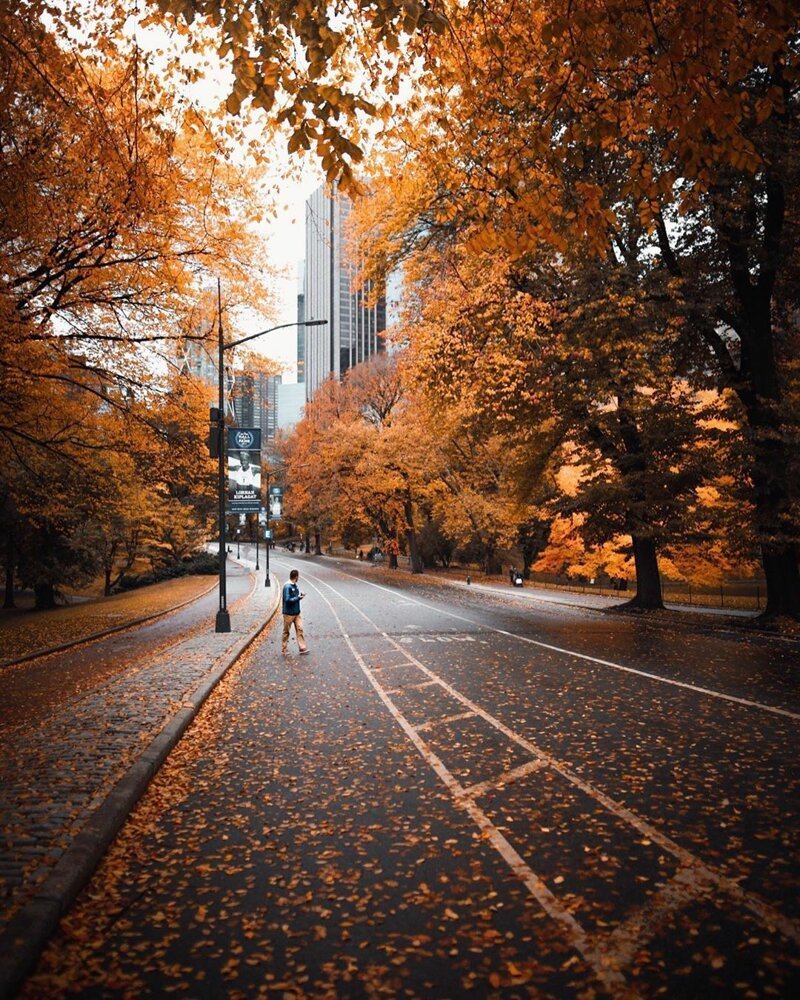 Нью-Йорк улицы осенью