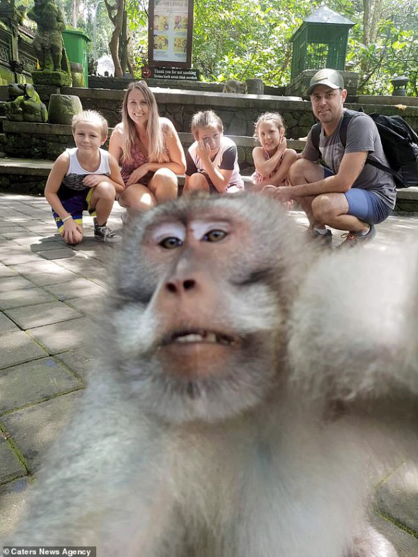 Фотография: Фиг вам, а не селфи! Обезьяна на Бали сама сделала эпичный кадр с туристами №4 - BigPicture.ru