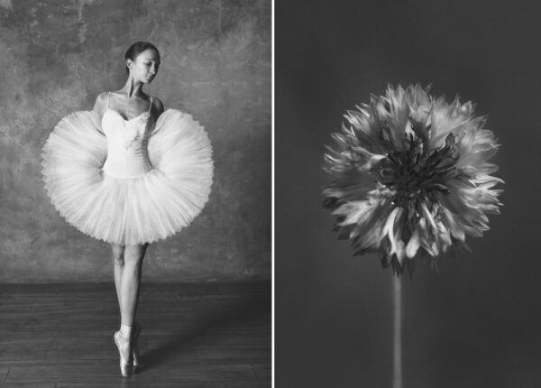Балерина и цветы: фотосерия о сходстве двух изяществ