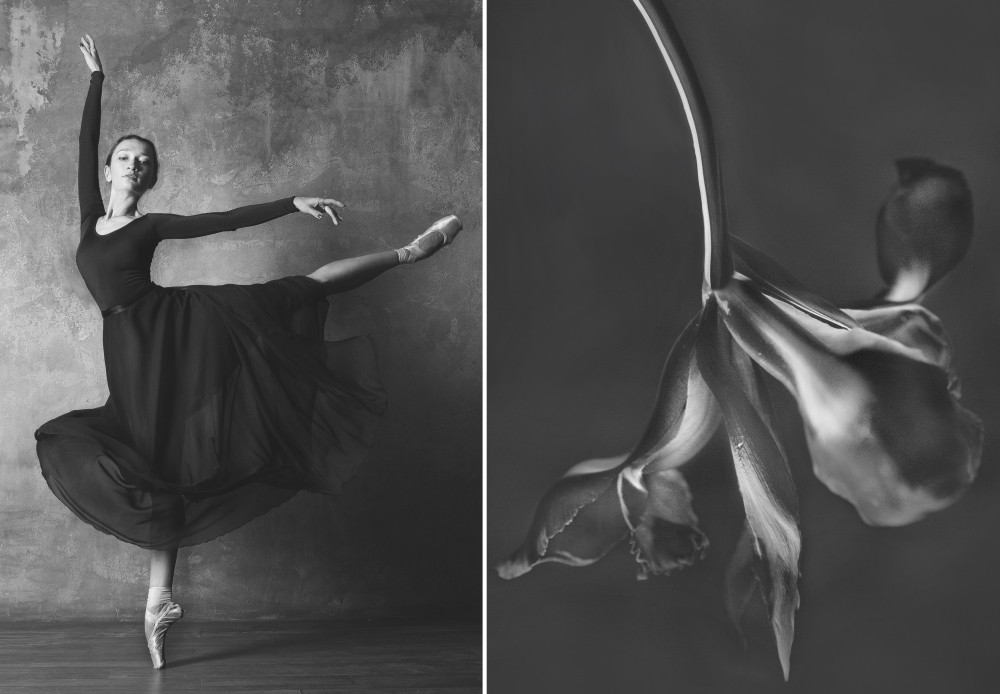 Фотография: Балерина и цветы: фотосерия о сходстве двух изяществ №5 - BigPicture.ru