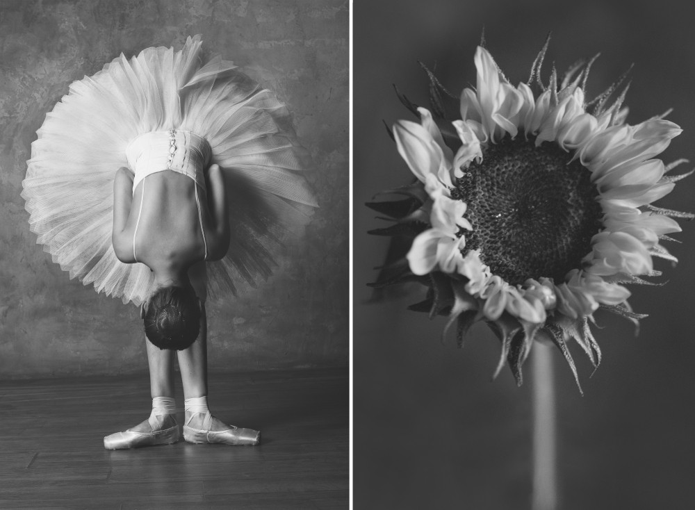 Фотография: Балерина и цветы: фотосерия о сходстве двух изяществ №10 - BigPicture.ru