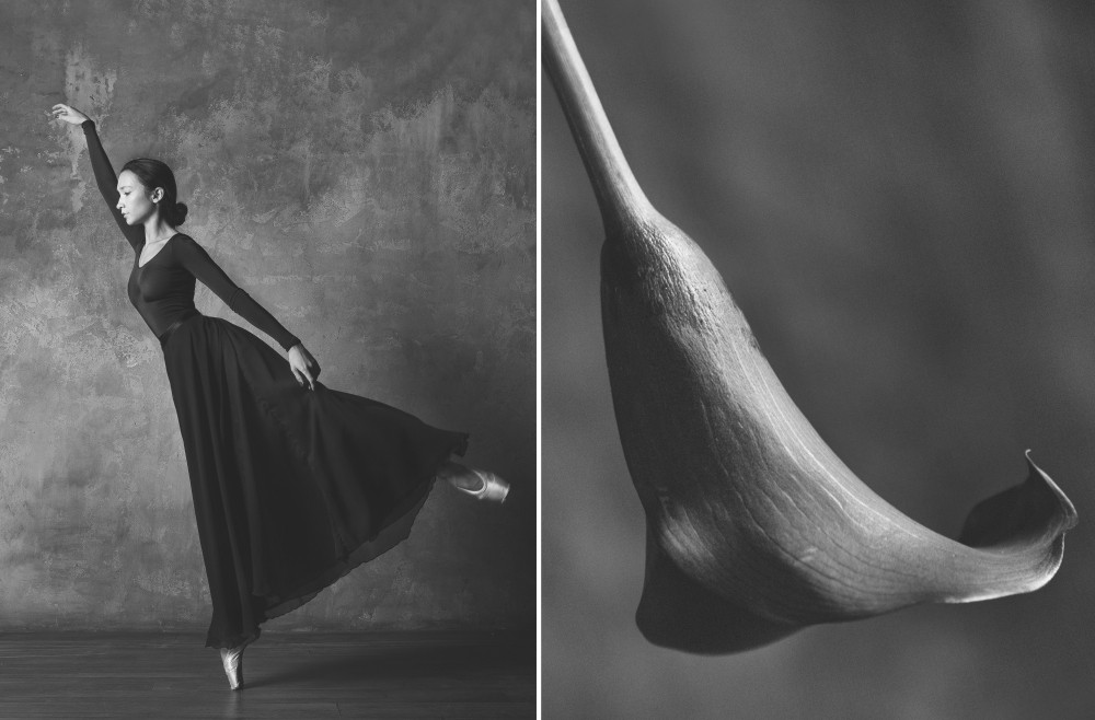 Фотография: Балерина и цветы: фотосерия о сходстве двух изяществ №11 - BigPicture.ru