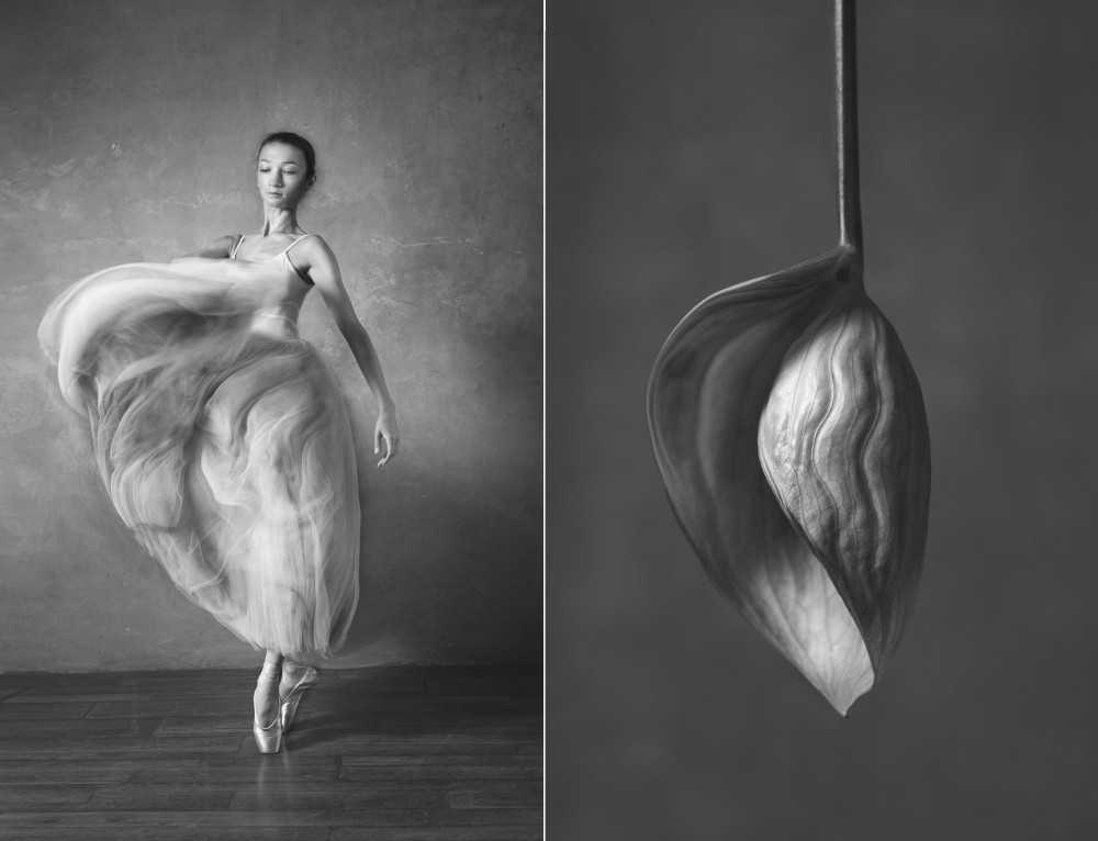 Фотография: Балерина и цветы: фотосерия о сходстве двух изяществ №12 - BigPicture.ru