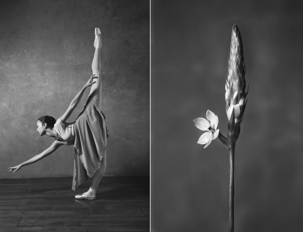 Фотография: Балерина и цветы: фотосерия о сходстве двух изяществ №14 - BigPicture.ru