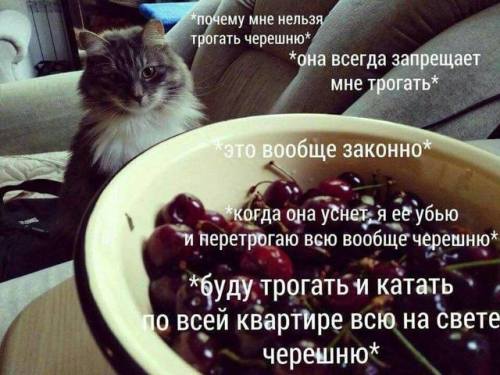 Фотография: Мемы про черешню: откуда они появились и почему это смешно №11 - BigPicture.ru