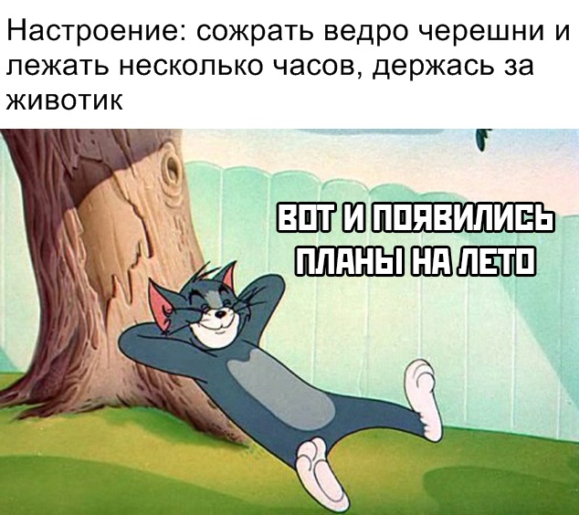 Фотография: Мемы про черешню: откуда они появились и почему это смешно №9 - BigPicture.ru