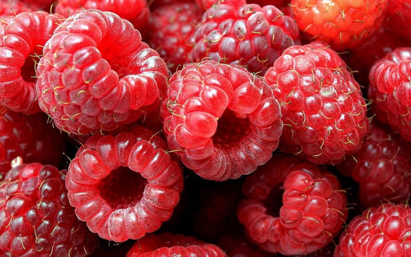 Фотография: Запасайтесь витаминами: как правильно замораживать ягоды и фрукты №6 - BigPicture.ru