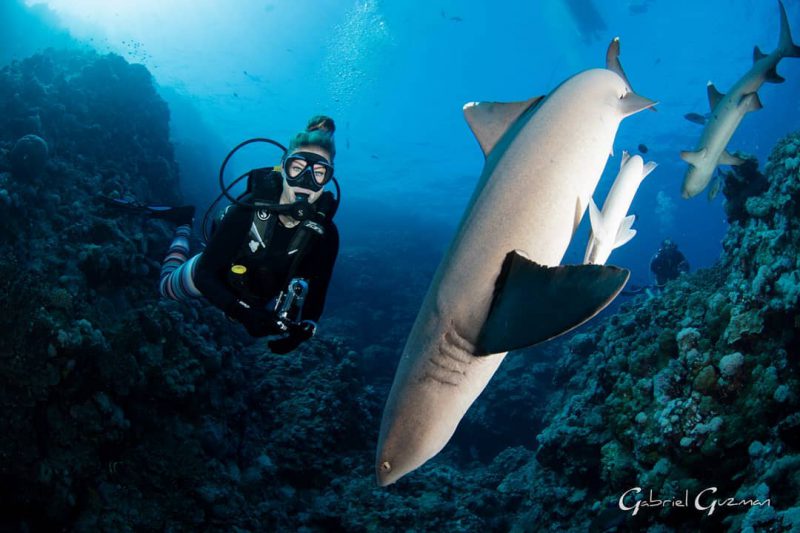 Фотография: Все называют ее снимки фотошопом, но они реальны: удивительные кадры дайвера и подводного мира №23 - BigPicture.ru