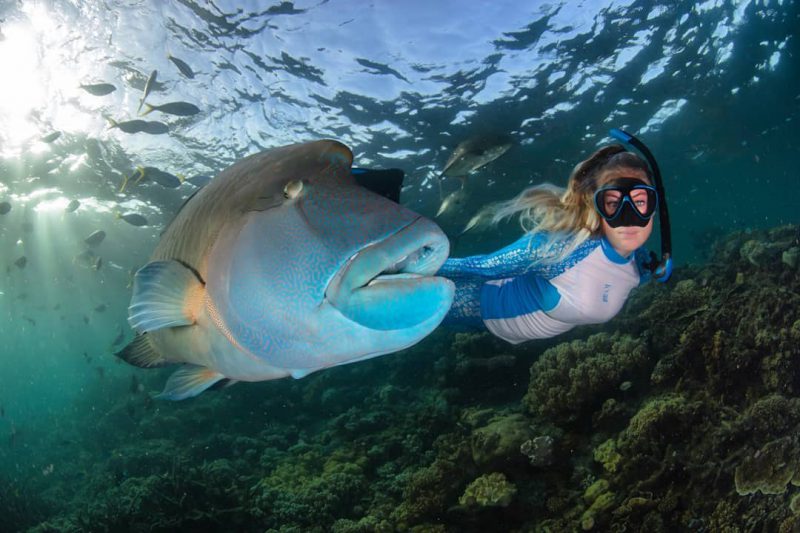 Фотография: Все называют ее снимки фотошопом, но они реальны: удивительные кадры дайвера и подводного мира №20 - BigPicture.ru