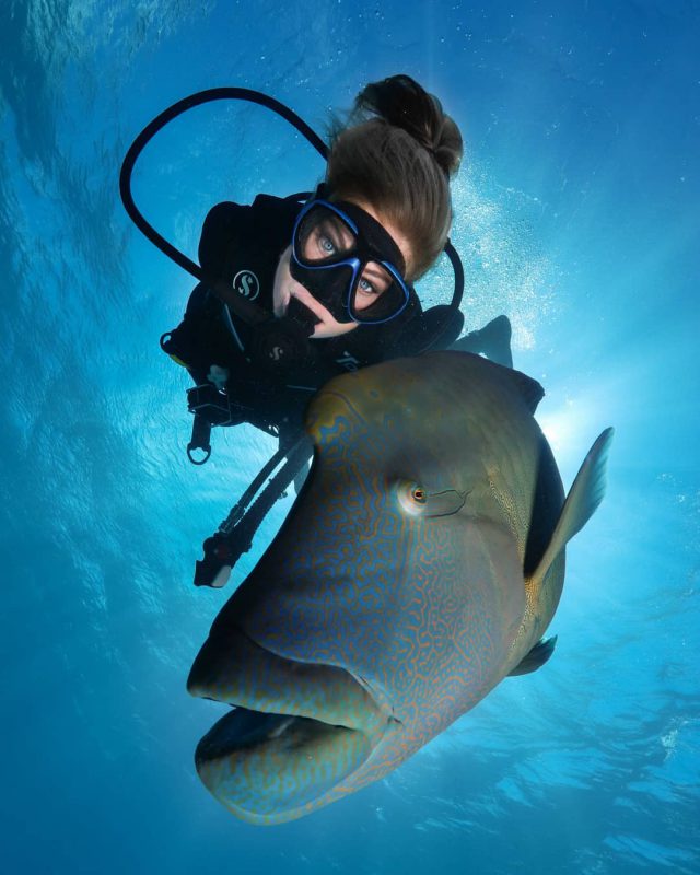 Фотография: Все называют ее снимки фотошопом, но они реальны: удивительные кадры дайвера и подводного мира №13 - BigPicture.ru