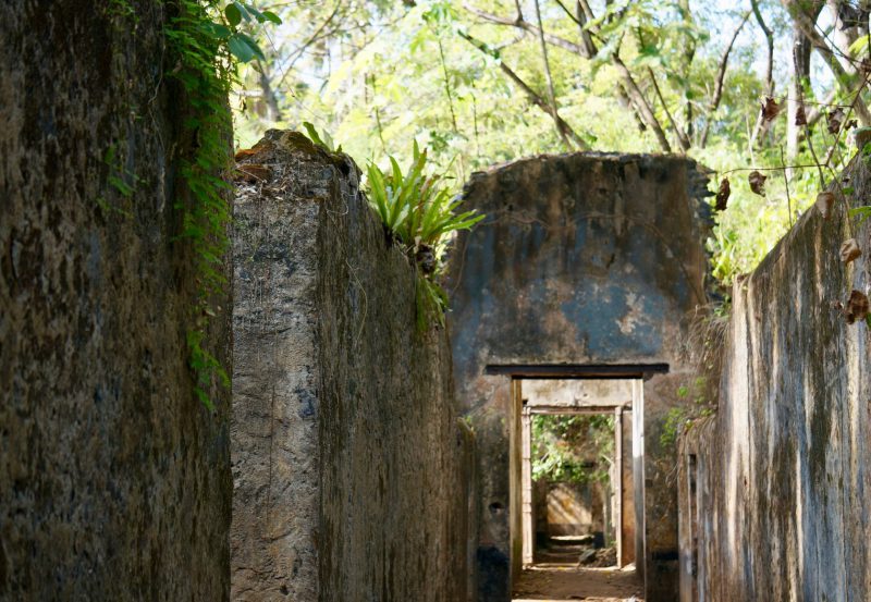 Тюрьма на острове Дьявола: безжалостное лезвие «сухой гильотины»