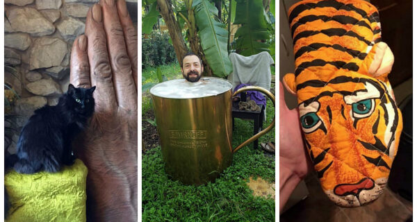 Диско-свинья, телефон-рот и другие диковинки, купленные с рук