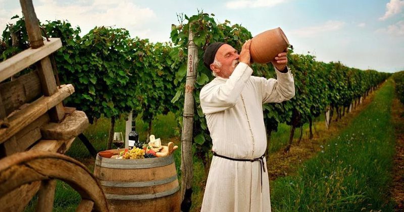 Фотография: Что нужно знать о грузинском вине: краткое введение в тему №1 - BigPicture.ru