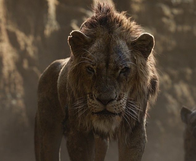 Фотография: Диснеевский Шрам существует: фотограф обнаружил одноглазого льва в Кении №4 - BigPicture.ru