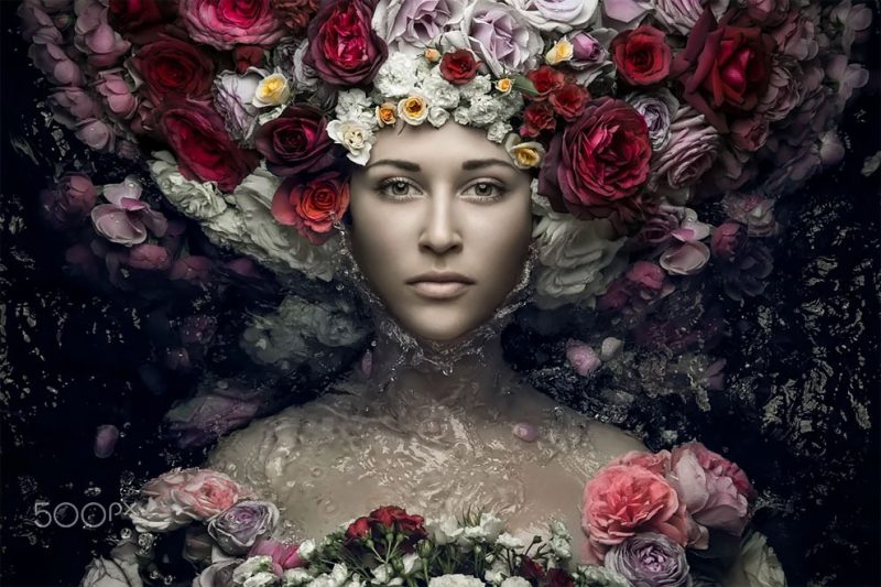 Фотография: Сад красоты: концептуальные цветочные портреты Евгения Колесника №7 - BigPicture.ru