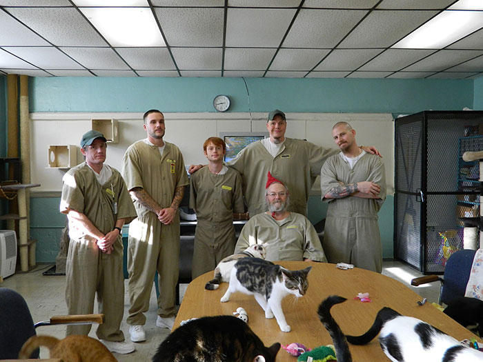 Фотография: Зэки и котаны: в Штатах запустили новую программу реабилитации заключенных №17 - BigPicture.ru