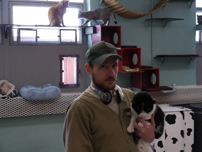 Фотография: Зэки и котаны: в Штатах запустили новую программу реабилитации заключенных №18 - BigPicture.ru