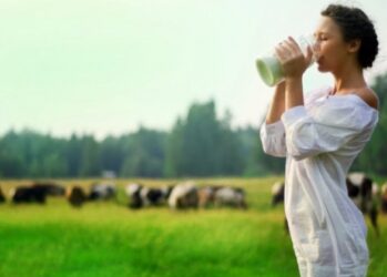 Ученые определили опасную для человека дозу молочных продуктов