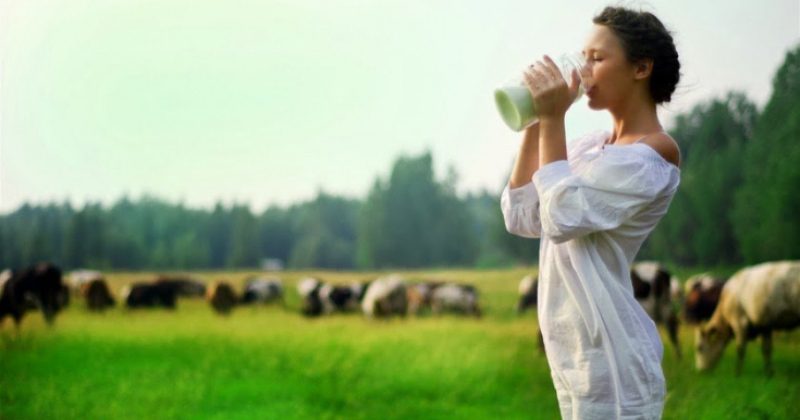 Фотография: Ученые определили опасную для человека дозу молочных продуктов №1 - BigPicture.ru