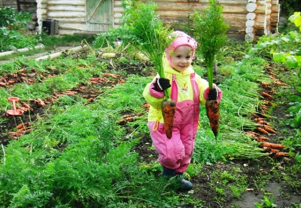 Фотография: Секрет воспитания, который сделает ваших детей успешными №4 - BigPicture.ru