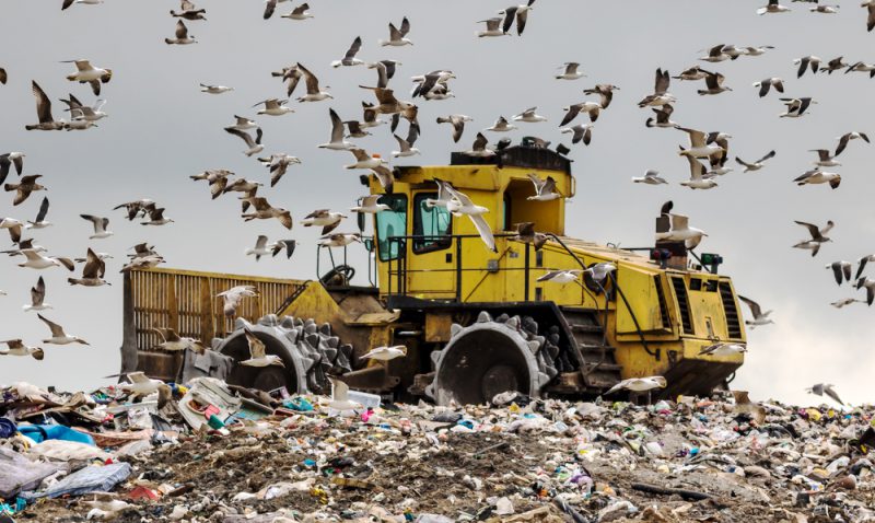 Фотография: С барского стола, или Как США экспортирует свой мусор в страны третьего мира №3 - BigPicture.ru