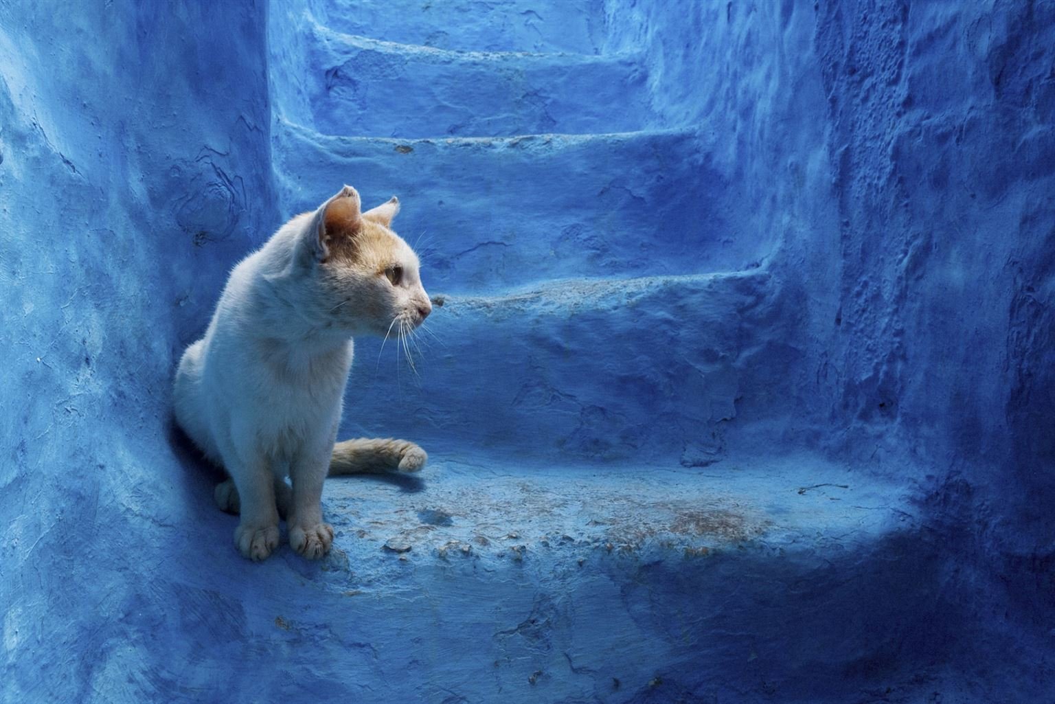 Фотография: Шефшауэн, город небесных красок: Голубая жемчужина Марокко №6 - BigPicture.ru
