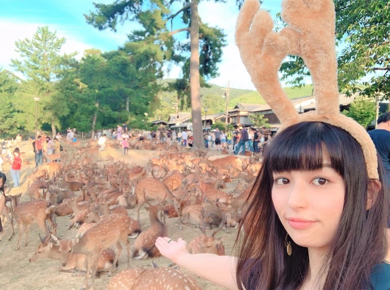 Фотография: Рогатый феномен: сотни оленей в парке Нара ежедневно собираются в одно и то же время №10 - BigPicture.ru