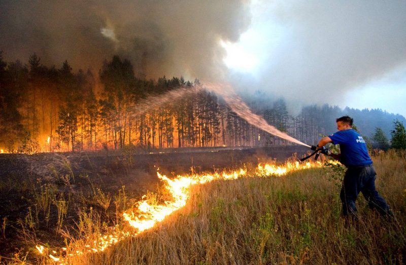 Фотография: Почему горят леса? Эксперты назвали причину ухудшения пожарной ситуации на планете №3 - BigPicture.ru