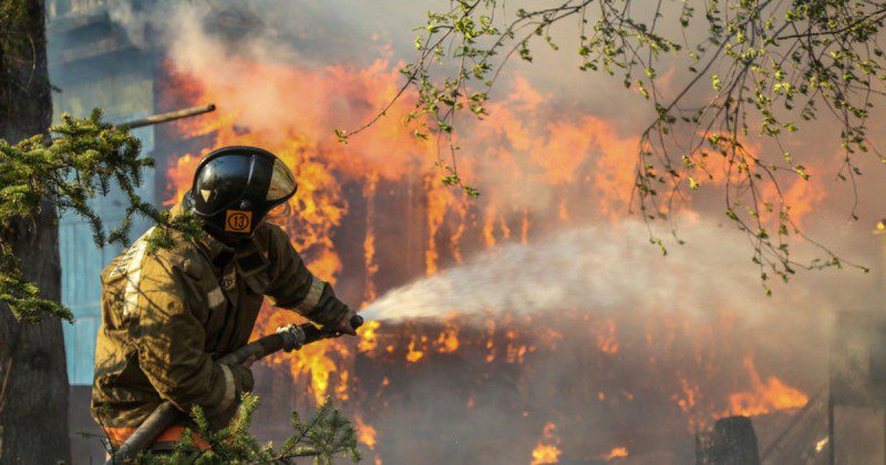 Фотография: Почему горят леса? Эксперты назвали причину ухудшения пожарной ситуации на планете №1 - BigPicture.ru