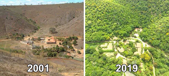 Фотограф и его жена за 20 лет высадили 2 миллиона деревьев и возродили уничтоженный лес