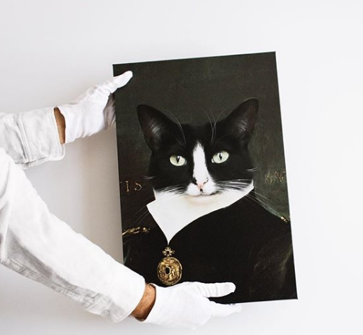 Фотография: Принцесса Чито: творческая жизнь самой обыкновенной кошки №10 - BigPicture.ru