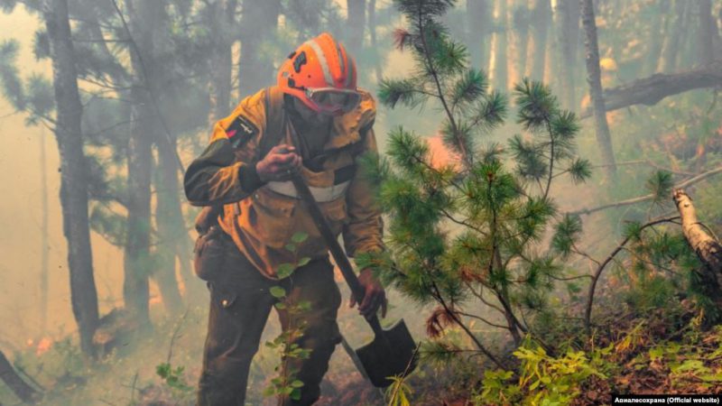 Фотография: Почему горят леса? Эксперты назвали причину ухудшения пожарной ситуации на планете №4 - BigPicture.ru