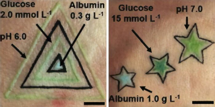 Фотография: Тату на страже здоровья: немецкие ученые создали биосенсорные татуировки №5 - BigPicture.ru