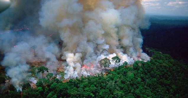 Фотография: Пепельный дождь и затмение: Бразилия утопает в дыму из-за пожаров в лесах Амазонии №2 - BigPicture.ru