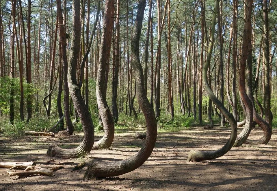 Фотография: Лучший художник — природа: потрясающе красивые места в разных уголках планеты №3 - BigPicture.ru
