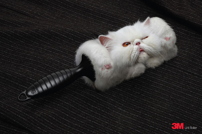 Фотография: Мяу! 15 примеров забавной и милой кошачьей рекламы №2 - BigPicture.ru