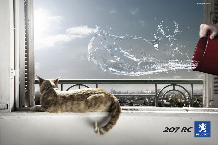 Фотография: Мяу! 15 примеров забавной и милой кошачьей рекламы №4 - BigPicture.ru