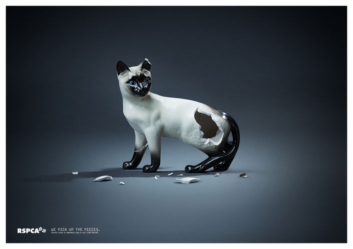 Фотография: Мяу! 15 примеров забавной и милой кошачьей рекламы №5 - BigPicture.ru