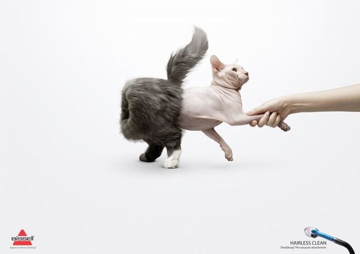 Фотография: Мяу! 15 примеров забавной и милой кошачьей рекламы №7 - BigPicture.ru
