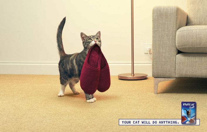 Фотография: Мяу! 15 примеров забавной и милой кошачьей рекламы №9 - BigPicture.ru
