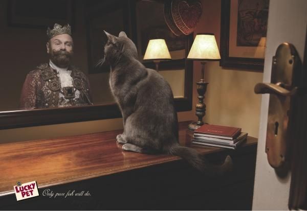 Фотография: Мяу! 15 примеров забавной и милой кошачьей рекламы №10 - BigPicture.ru