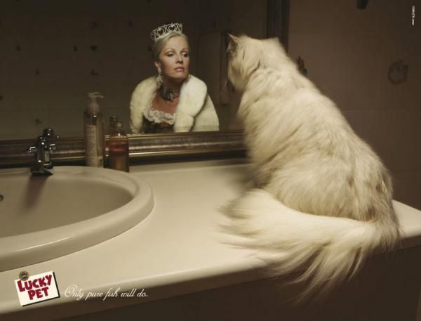 Фотография: Мяу! 15 примеров забавной и милой кошачьей рекламы №11 - BigPicture.ru
