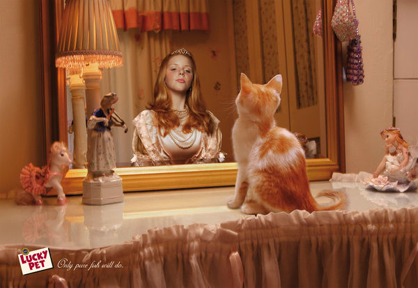 Фотография: Мяу! 15 примеров забавной и милой кошачьей рекламы №12 - BigPicture.ru