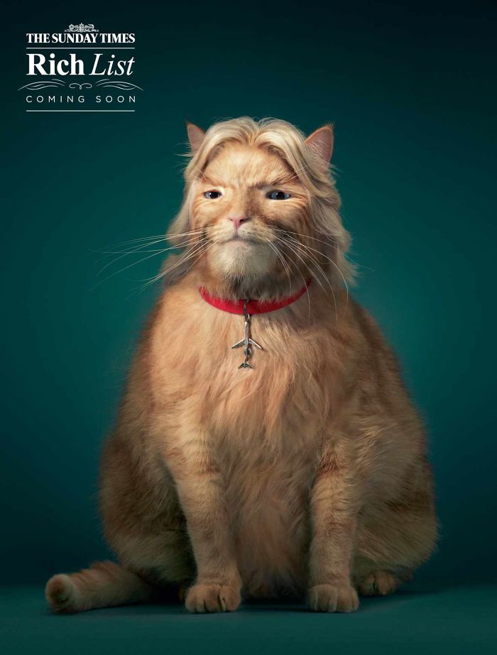 Фотография: Мяу! 15 примеров забавной и милой кошачьей рекламы №16 - BigPicture.ru