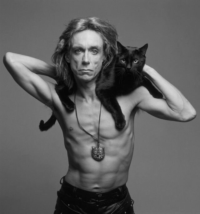 Фотография: 30 ретро-фотографий знаменитостей, позирующих с любимыми кошками №28 - BigPicture.ru