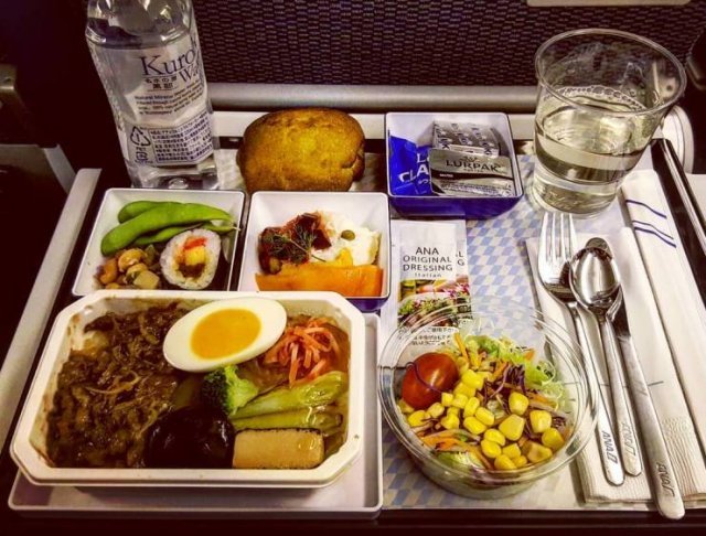 Фотография: Корм или еда? Как кормят в бизнес-классе и эконом-классе разных авиакомпаний №15 - BigPicture.ru