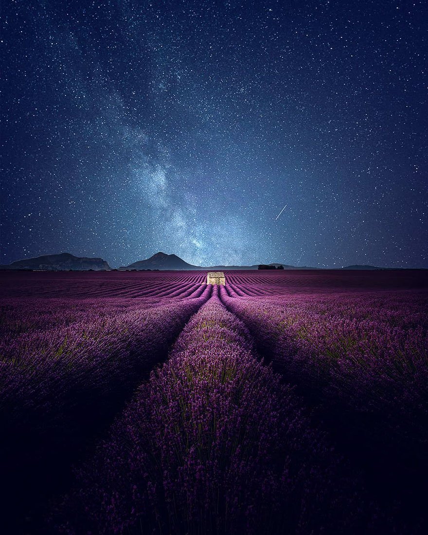 Фотография: Навевая спокойствие и сон: фото лавандовых полей на юге Франции №4 - BigPicture.ru