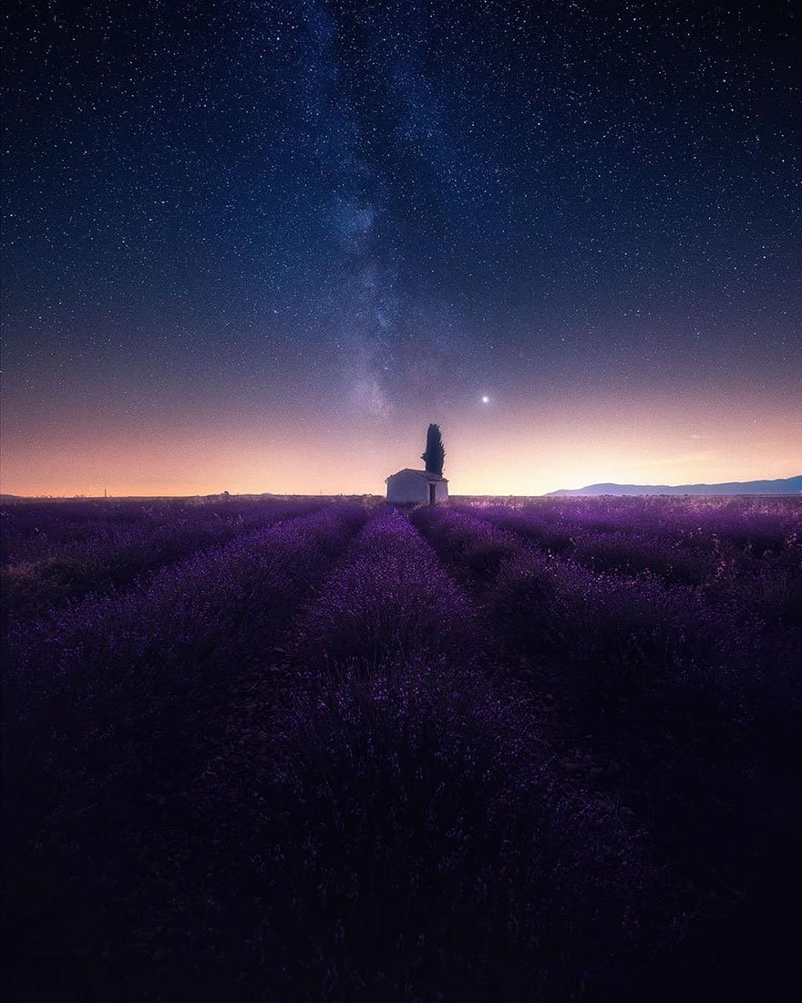 Фотография: Навевая спокойствие и сон: фото лавандовых полей на юге Франции №5 - BigPicture.ru