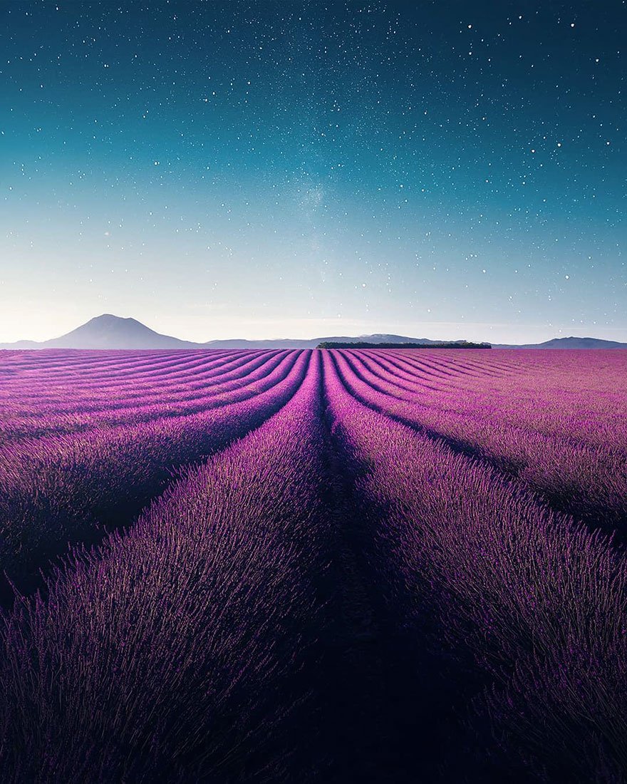 Фотография: Навевая спокойствие и сон: фото лавандовых полей на юге Франции №7 - BigPicture.ru